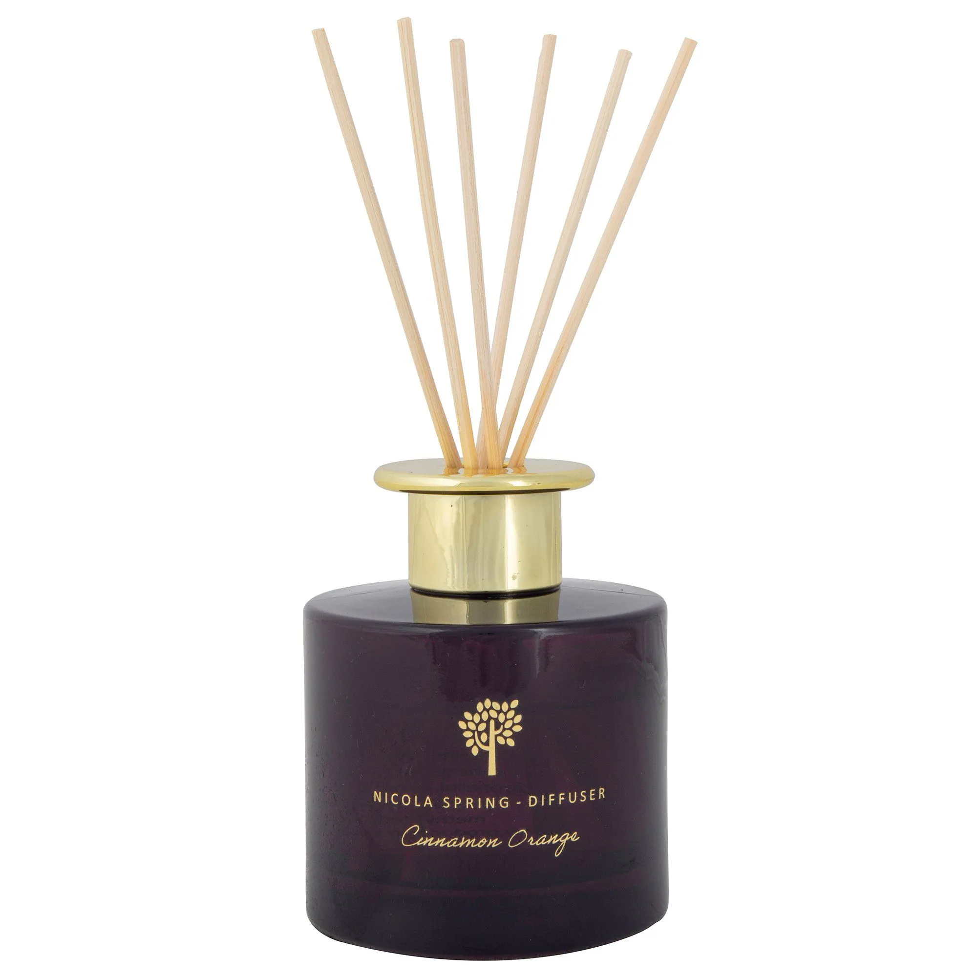 200ml Cinnamon Orange Glass Reed Diffuser - By Nicola Spring