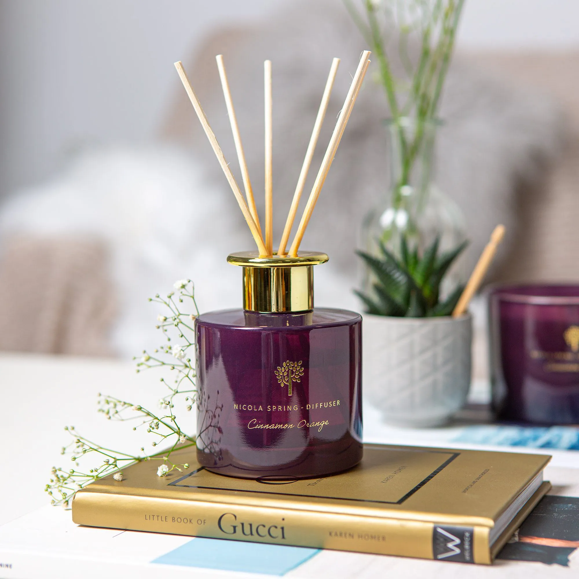 200ml Cinnamon Orange Glass Reed Diffuser - By Nicola Spring