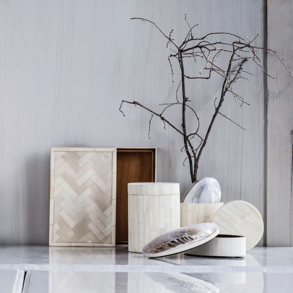 Abalone Box