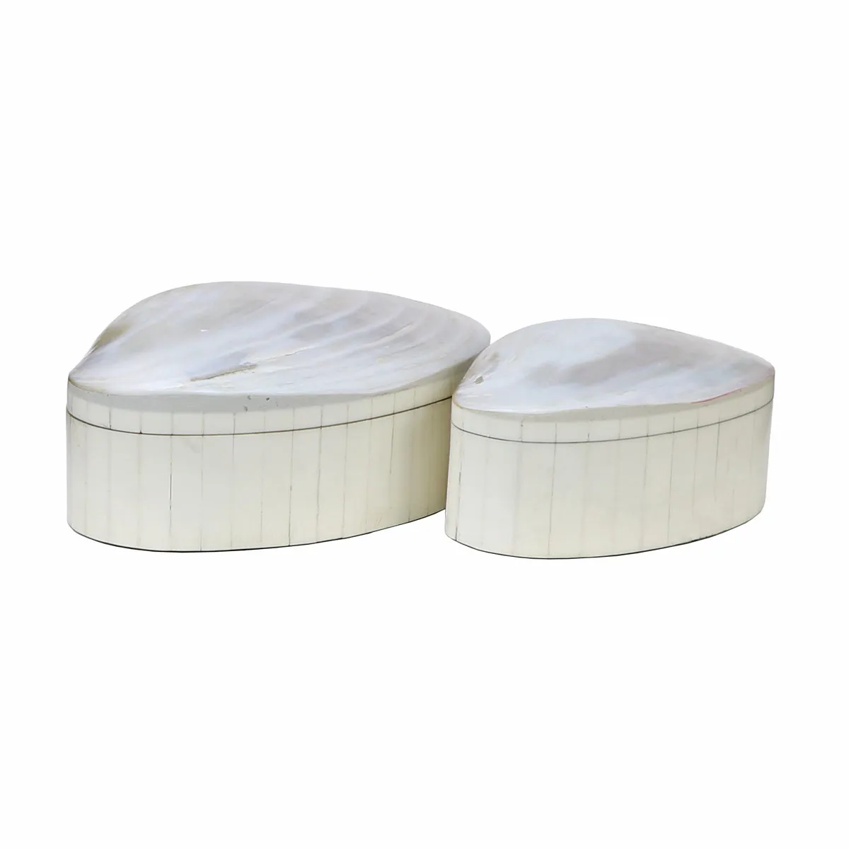 Abalone Box