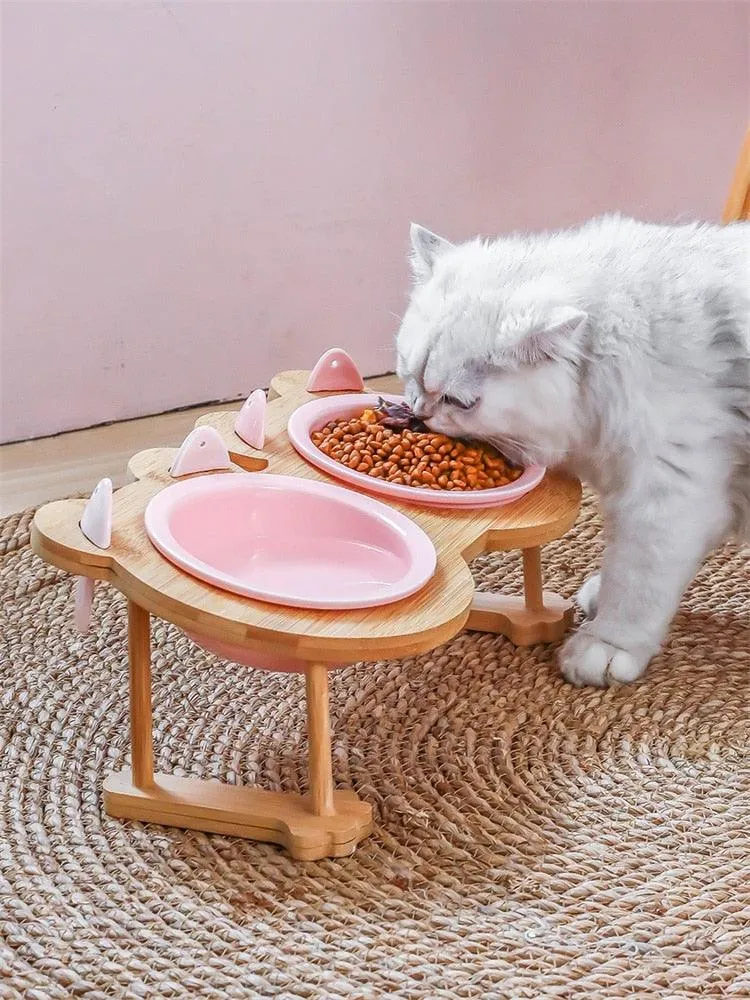 Ceramic Pet Bowl with Tilted Base