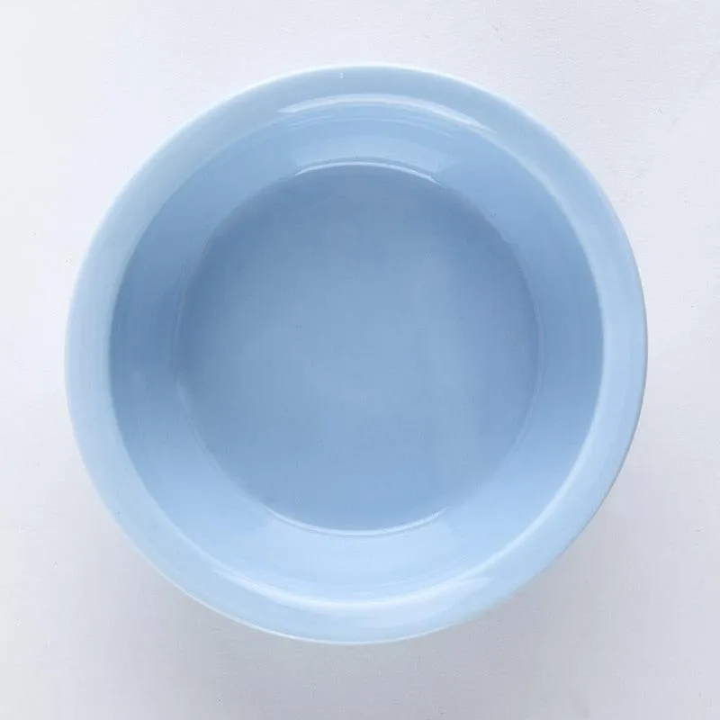 Ceramic Pet Bowl with Tilted Base