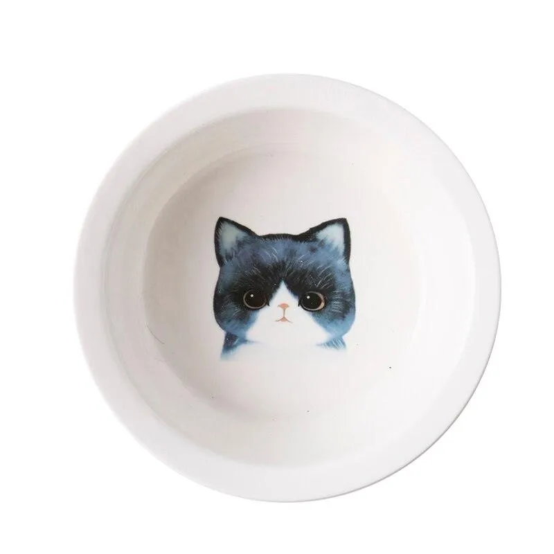 Ceramic Pet Bowl with Tilted Base