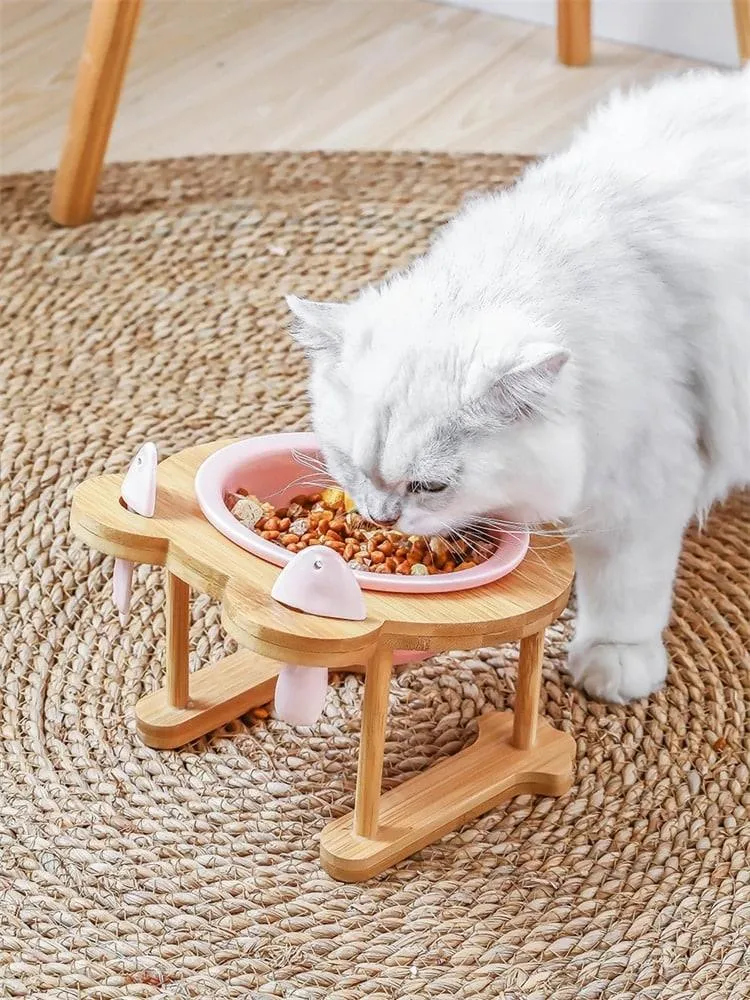 Ceramic Pet Bowl with Tilted Base