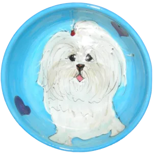 Coton de Tulear | Dog Bowl