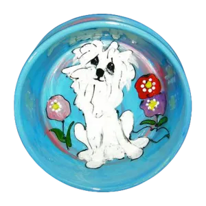 Hoity Toity Coton de Tulear