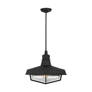 Hollis 17 In. Outdoor Pendant Light Black finish