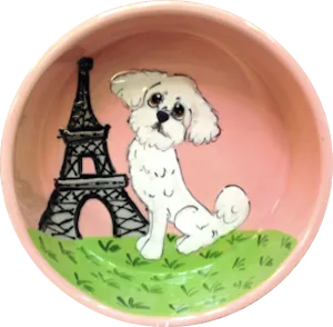 Maltipoo in Paris