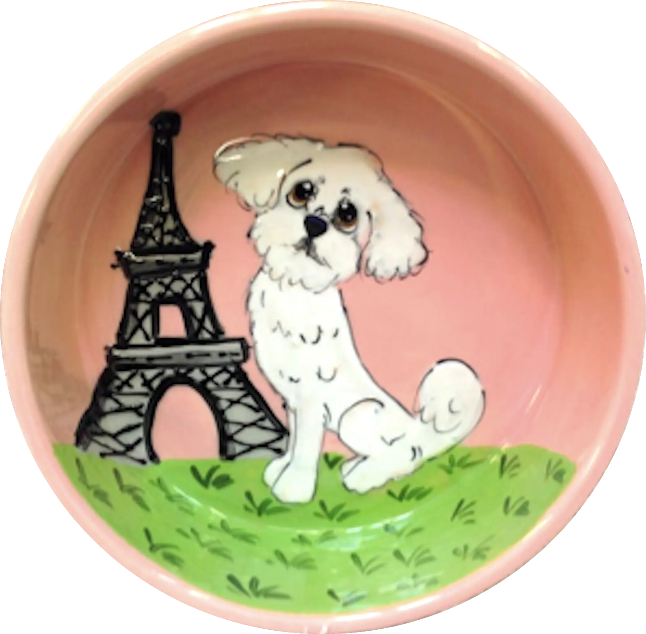 Maltipoo in Paris