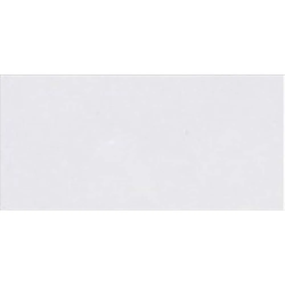 Millennium Wall Tile 300 x 600 #24079-LT Ceramic Gloss (5pc/0.9sqm Ctn)