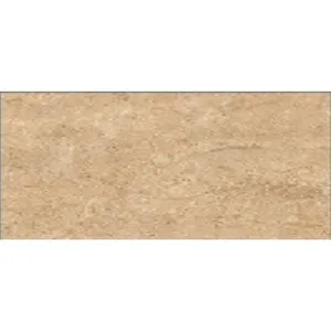 Millennium Wall Tile 300 x 600 #24085-DK Ceramic Gloss (5pc/0.9sqm Ctn)