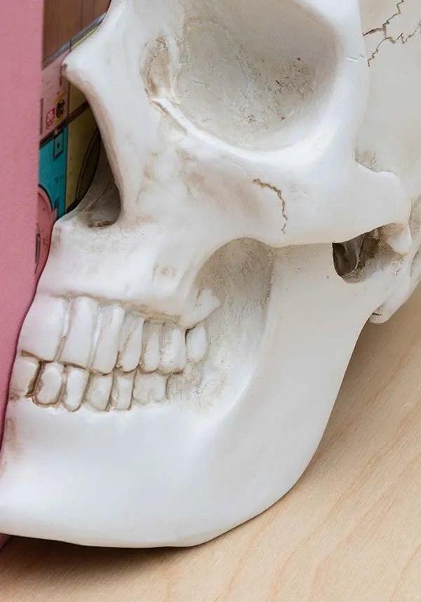 Skull | BOOKENDS*